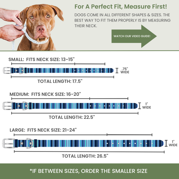 Rubyloo Washable Dog Collar