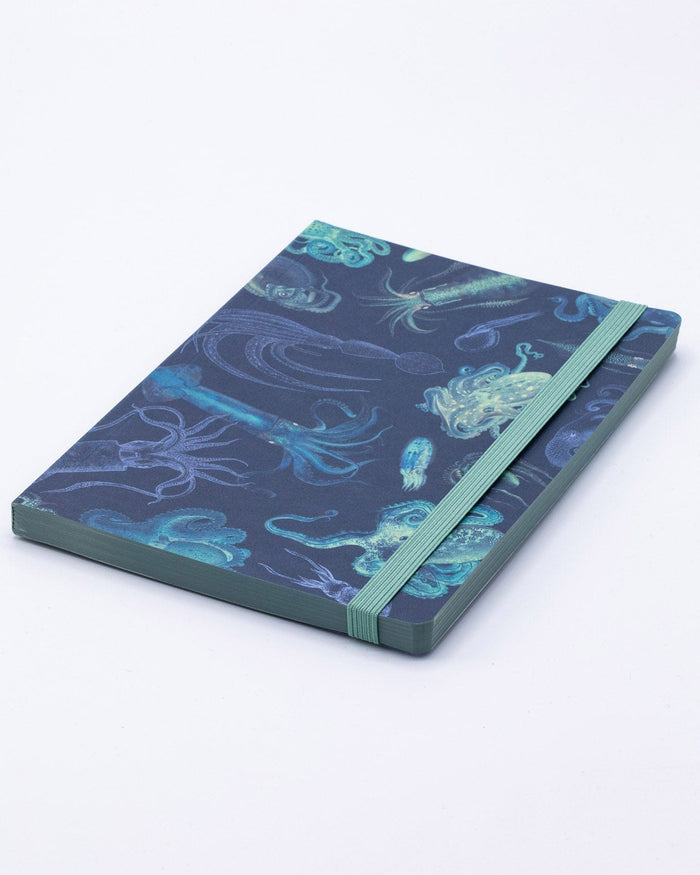 Sea Monsters: Octopus & Squid A5 Softcover Cognitive Surplus