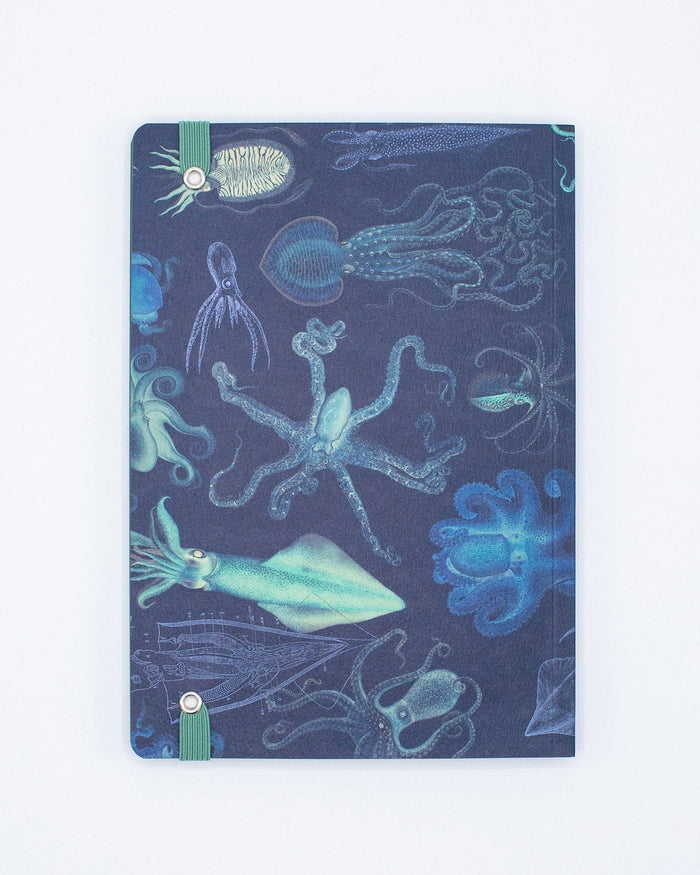 Sea Monsters: Octopus & Squid A5 Softcover Cognitive Surplus
