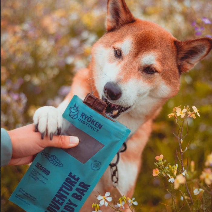 Seafood Treat & Snack Bar for Active Dogs -Energy & Recovery