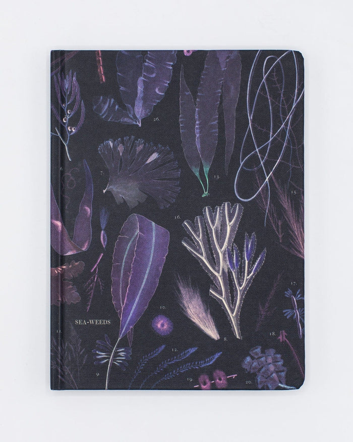 Seaweed Hardcover - Dot Grid Cognitive Surplus
