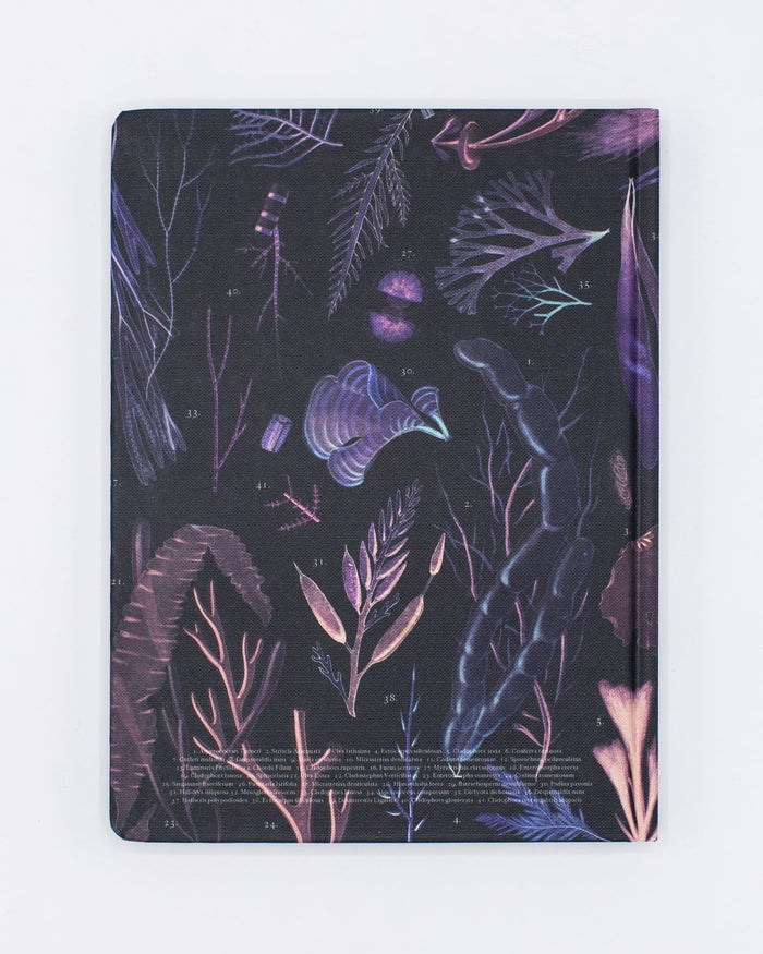 Seaweed Hardcover - Dot Grid Cognitive Surplus