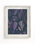 Seaweed Museum Print Cognitive Surplus