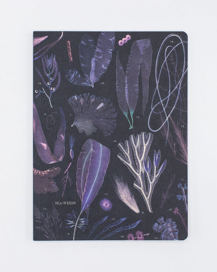 Seaweed Softcover - Lined Cognitive Surplus