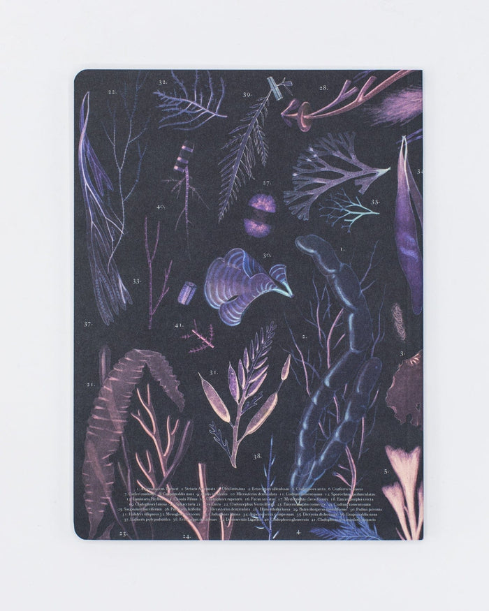 Seaweed Softcover - Lined Cognitive Surplus