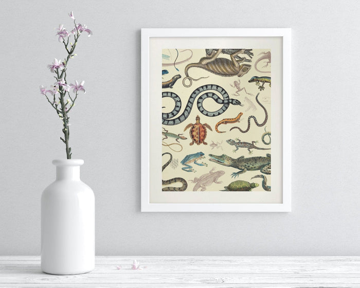 Serpents: Reptiles & Amphibians Museum Print Cognitive Surplus