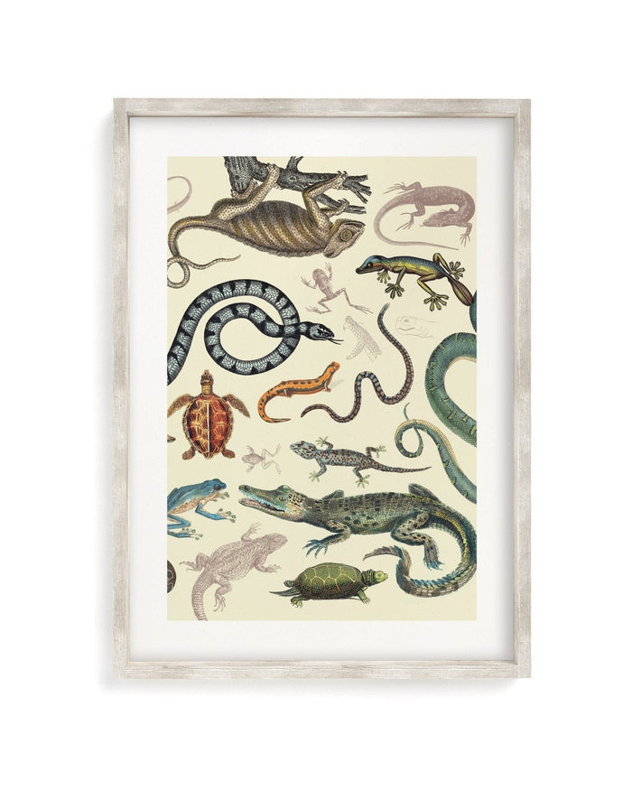 Serpents: Reptiles & Amphibians Museum Print Cognitive Surplus