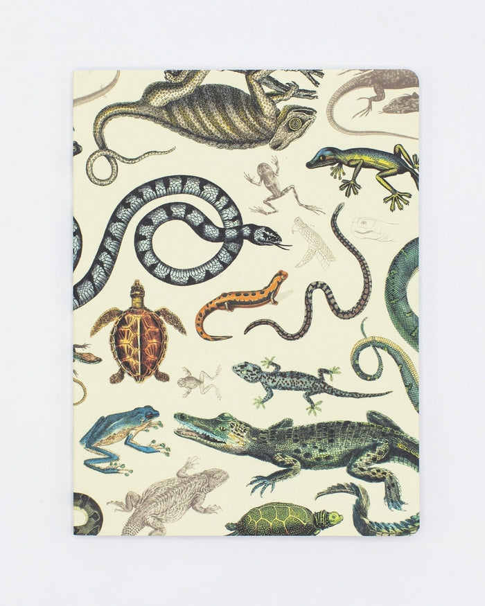 Serpents: Reptiles & Amphibians Softcover - Dot Grid Cognitive Surplus