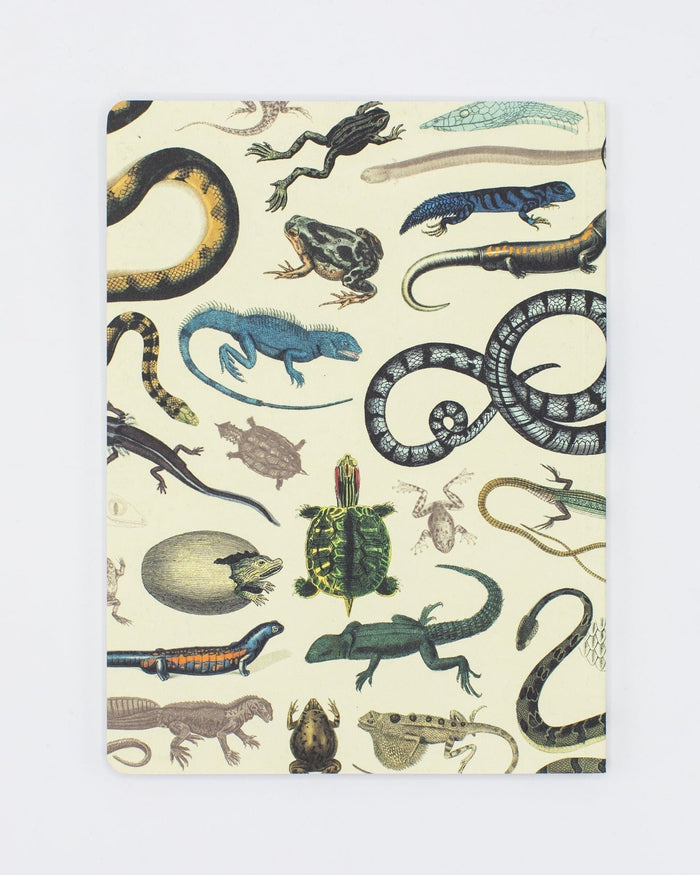 Serpents: Reptiles & Amphibians Softcover - Dot Grid Cognitive Surplus