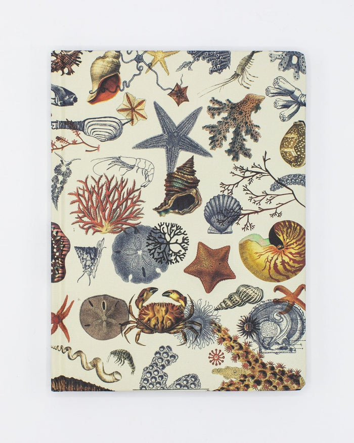 Shallow Seas Pl 2 Hardcover - Dot Grid Cognitive Surplus