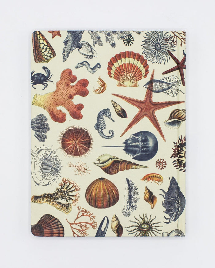 Shallow Seas Pl 2 Hardcover - Dot Grid Cognitive Surplus