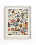 Shallow Seas Museum Print Cognitive Surplus