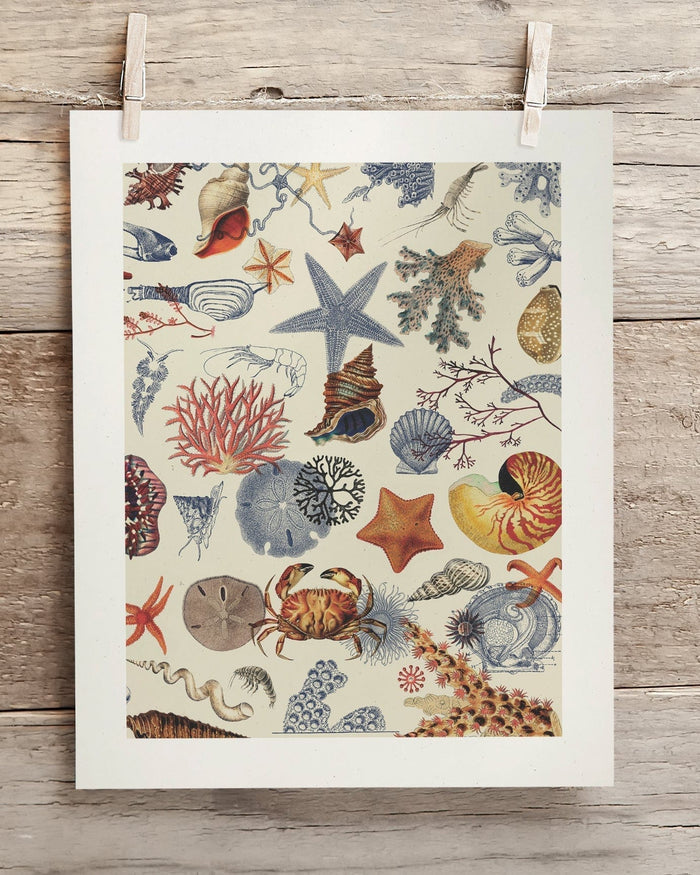 Shallow Seas Museum Print Cognitive Surplus