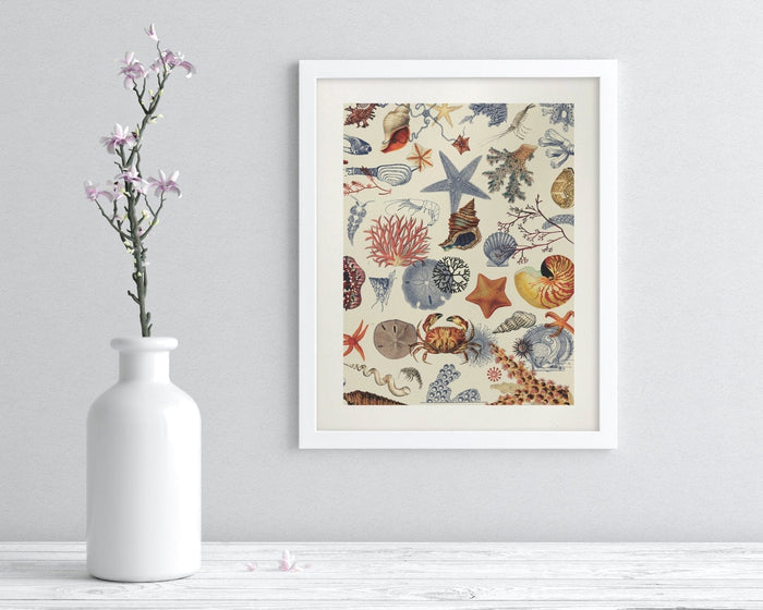 Shallow Seas Museum Print Cognitive Surplus