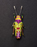 Sharpshooter Leafhopper Beaded Brooch Pin - Trovelore