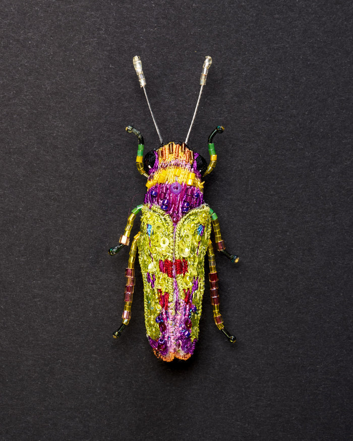 Sharpshooter Leafhopper Beaded Brooch Pin - Trovelore