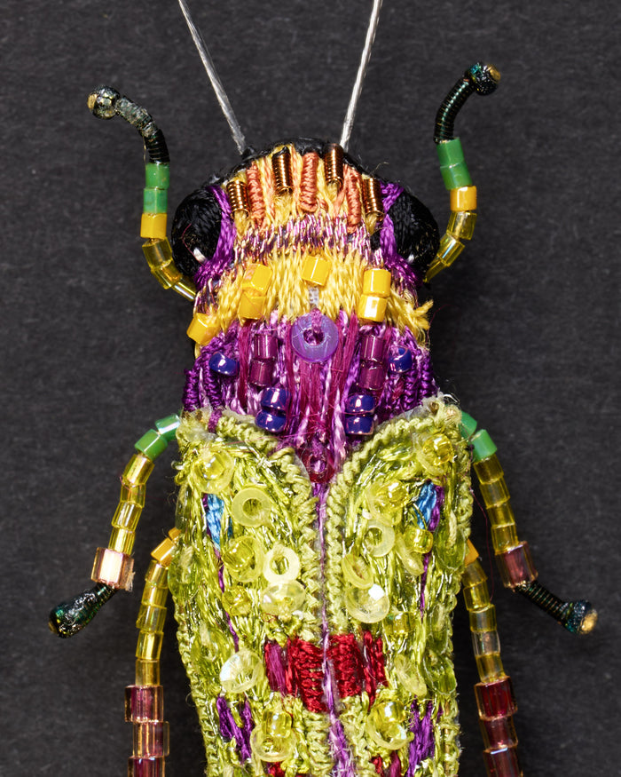 Sharpshooter Leafhopper Beaded Brooch Pin - Trovelore