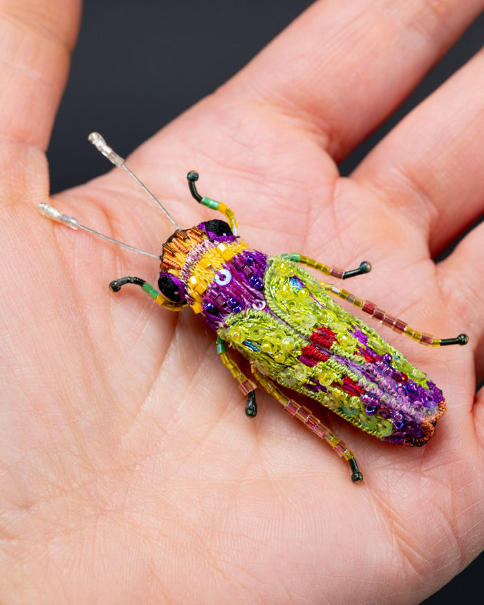Sharpshooter Leafhopper Beaded Brooch Pin - Trovelore