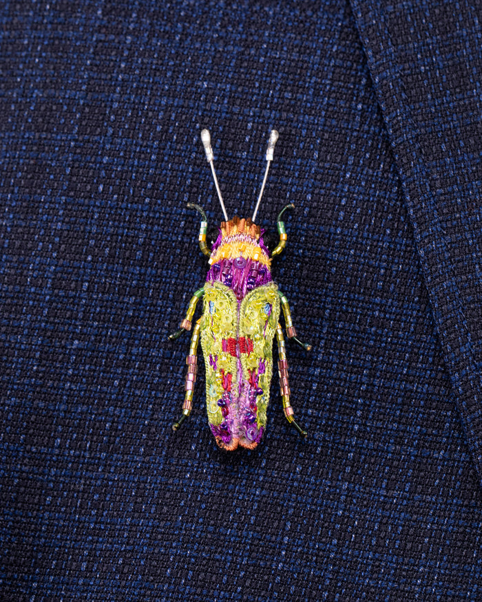 Sharpshooter Leafhopper Beaded Brooch Pin - Trovelore