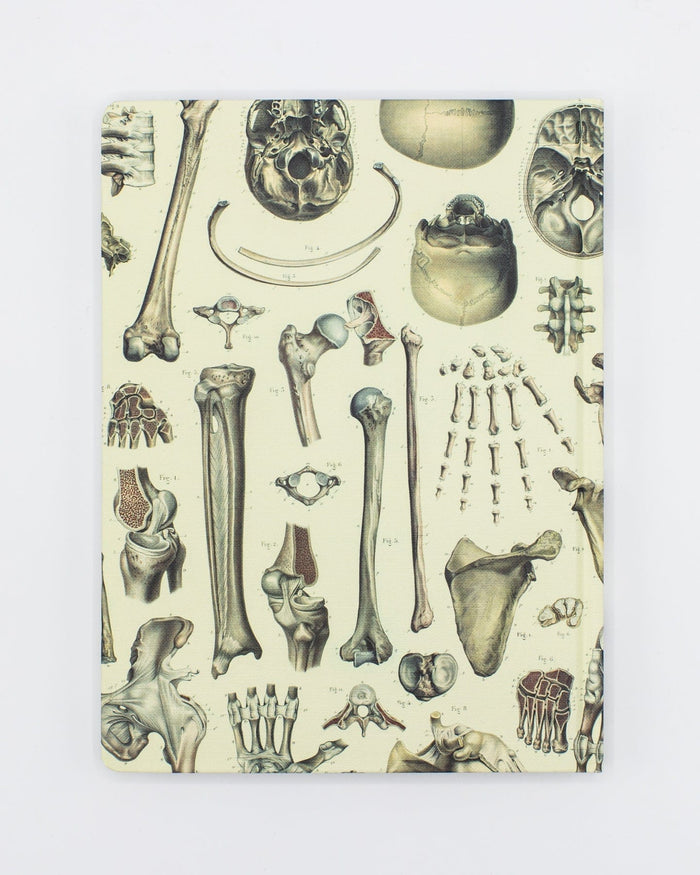 Skeleton Pl 2 Hardcover - Dot Grid Cognitive Surplus