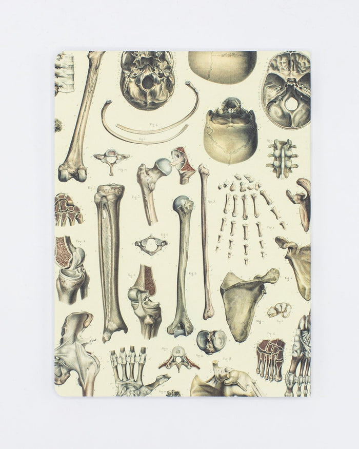 Skeleton Plate 2 Softcover - Lined Cognitive Surplus