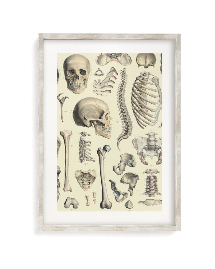 Skeleton Museum Print Cognitive Surplus