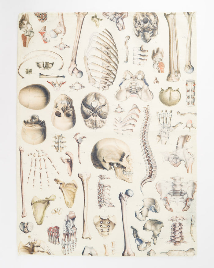 Skeleton Tea Towel