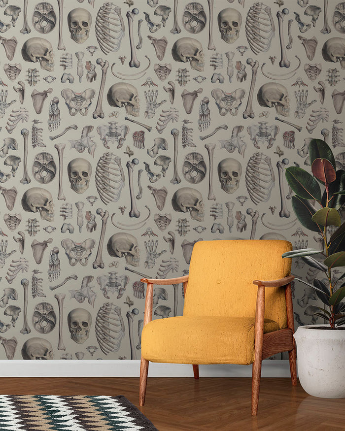 Skeleton Wallpaper