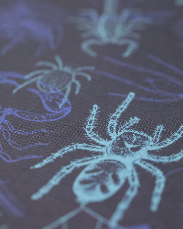 Spiders & Scorpions Hardcover - Lined/Grid Cognitive Surplus