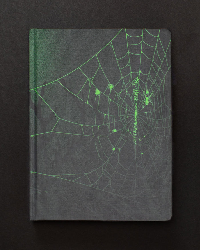 An image of the Spiders & Webs Dark Matter Notebook by Cognitive Surplus on a black background.