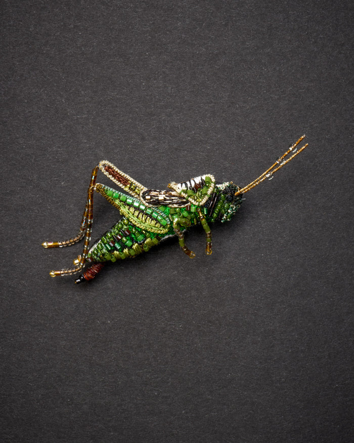 Striped Grasshopper Brooch Pin - Trovelore