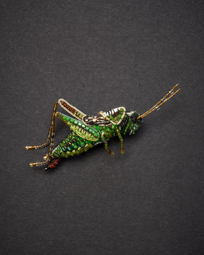 Striped Grasshopper Brooch Pin - Trovelore