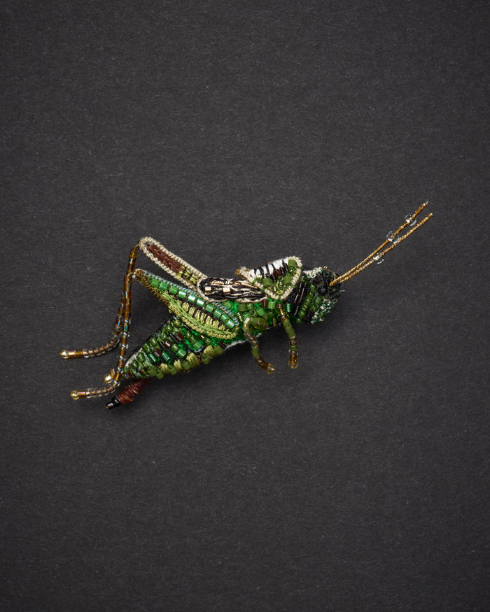 Striped Grasshopper Brooch Pin - Trovelore