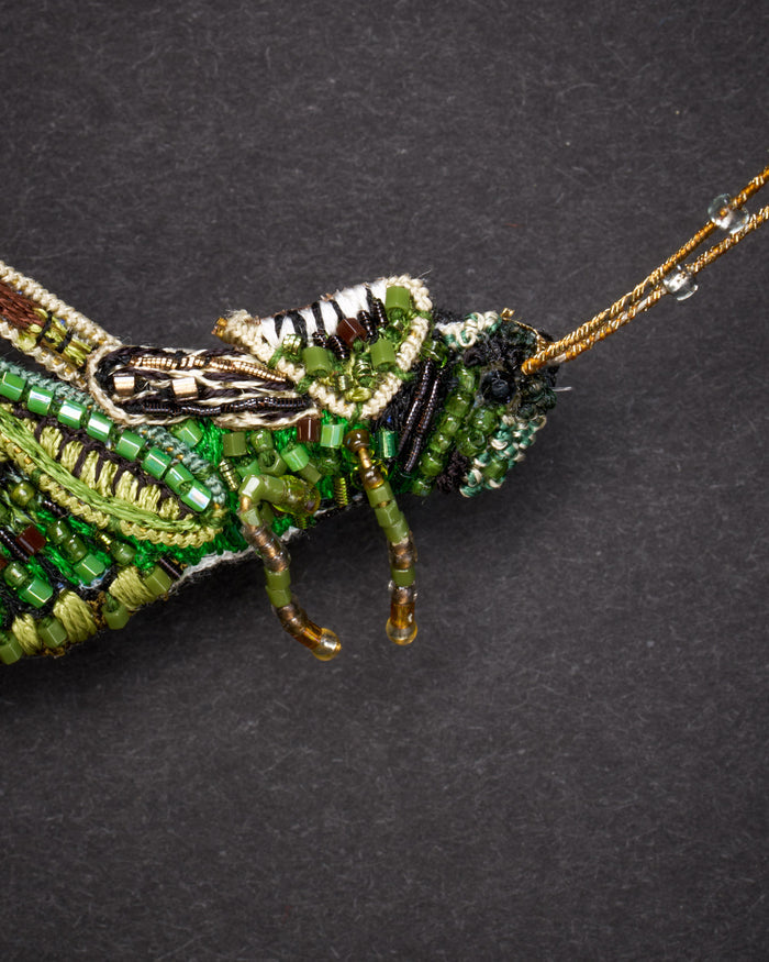 Striped Grasshopper Brooch Pin - Trovelore