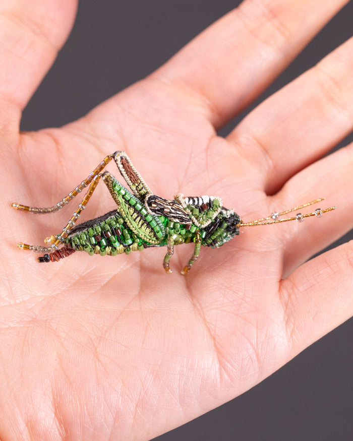 Striped Grasshopper Brooch Pin - Trovelore
