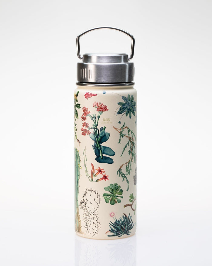 Succulents 18 oz Steel Bottle Cognitive Surplus