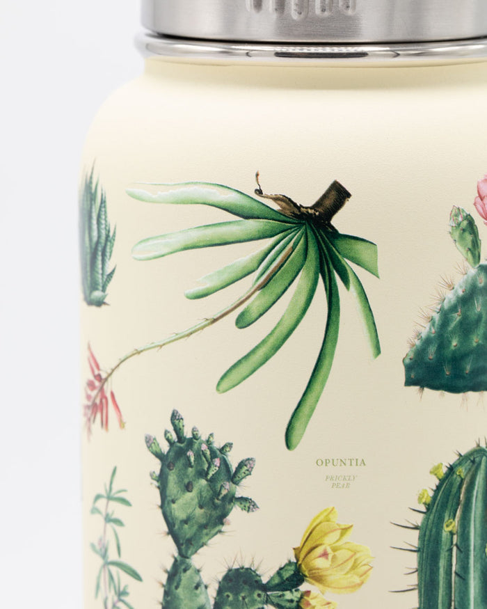 A Cognitive Surplus Succulents 32 oz Steel Bottle with cactus plants and flowers on it.