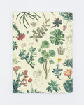 Succulents Softcover - Lined Cognitive Surplus
