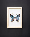 Swallowtail Butterfly Beaded Framed Art - Trovelore