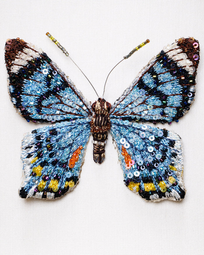 Swallowtail Butterfly Beaded Framed Art - Trovelore