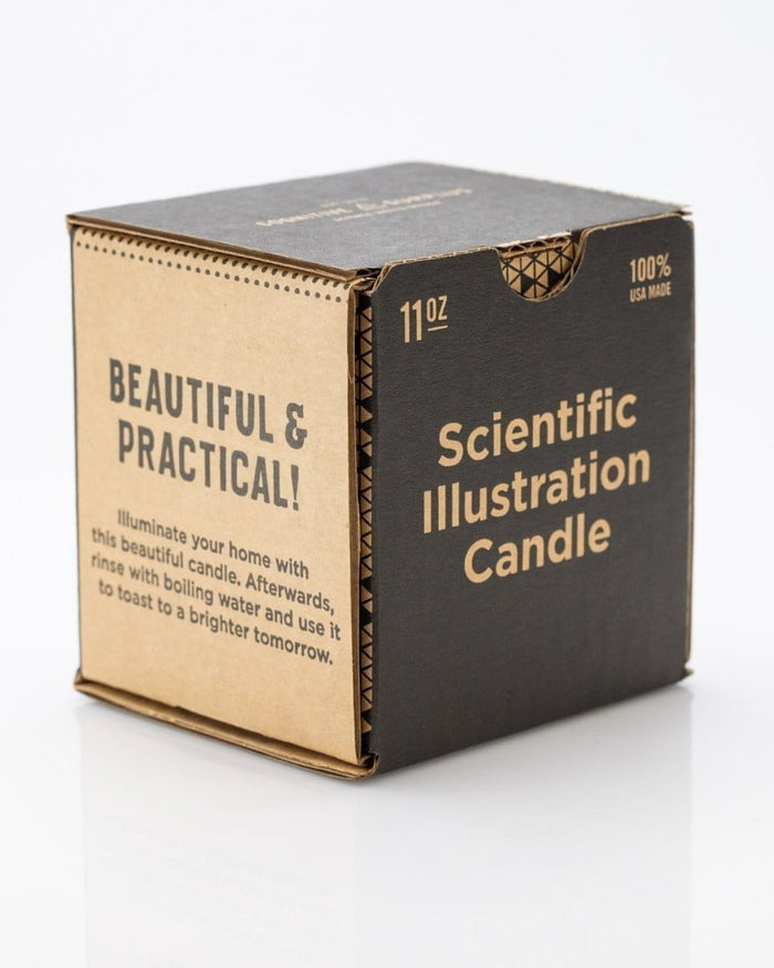 Telescope Cocktail Candle Cognitive Surplus