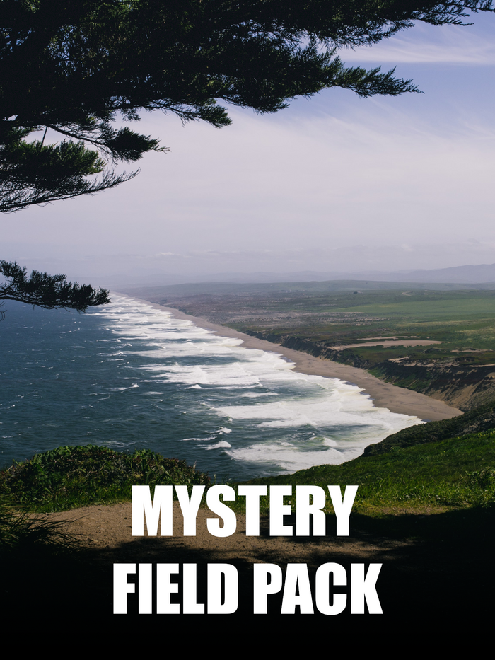 The Great Beach Expedition Mystery Field Box