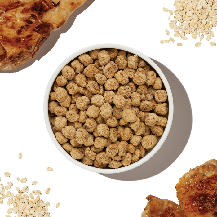 The Honest Kitchen Whole Grain Chicken Essential Clusters Dry Dog Food