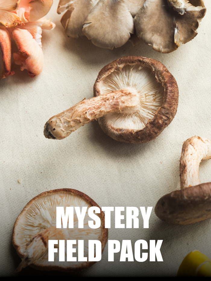 The Mushroom Hunter Mystery Field Box
