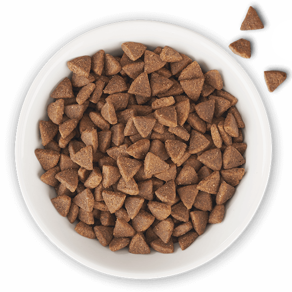 Tiki Cat® Born Carnivore® Indoor Health Trout & Menhaden Fish Meal Recipe