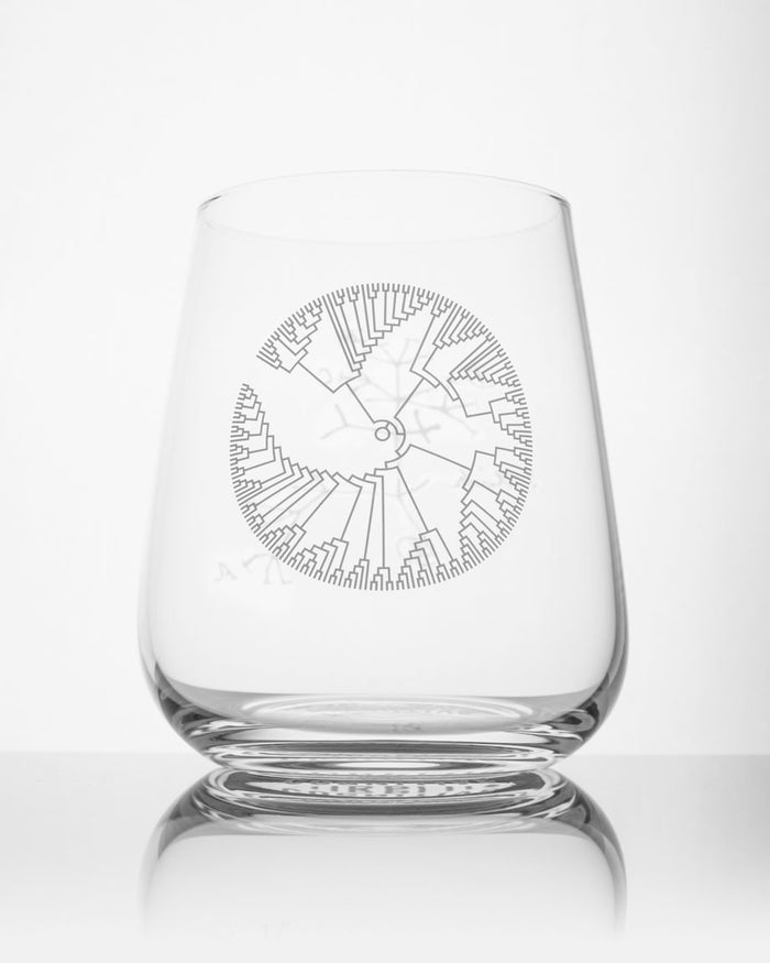 A Tree of Life Wine Glass with an image of a seashell on it, by Cognitive Surplus.