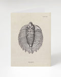 A Cognitive Surplus Trilobite Fossil Card.