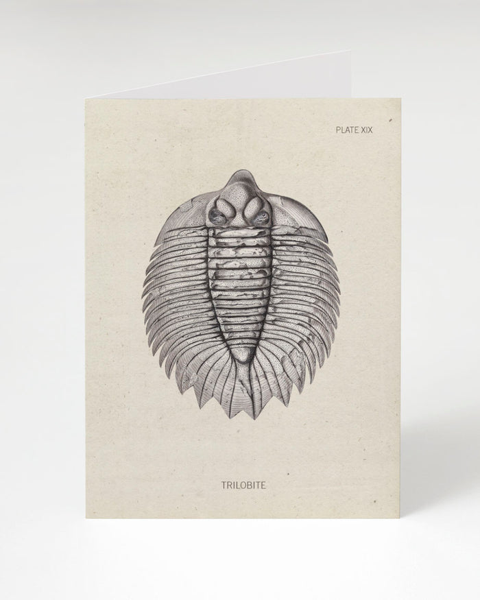 A Cognitive Surplus Trilobite Fossil Card.