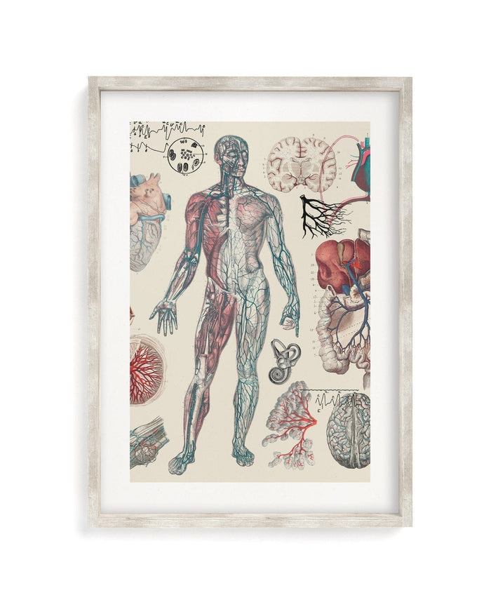 Vascular Museum Print Cognitive Surplus