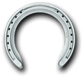 Victory Racing Plates - White Bonded Front - Wanneroo Stockfeeders